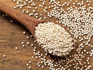 7 Alternatif Makanan Pengganti Nasi, Cocok Buat Kamu yang Lagi Diet