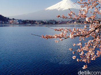 Jepang, Bukan Cuma Sakura dan Fujiyama