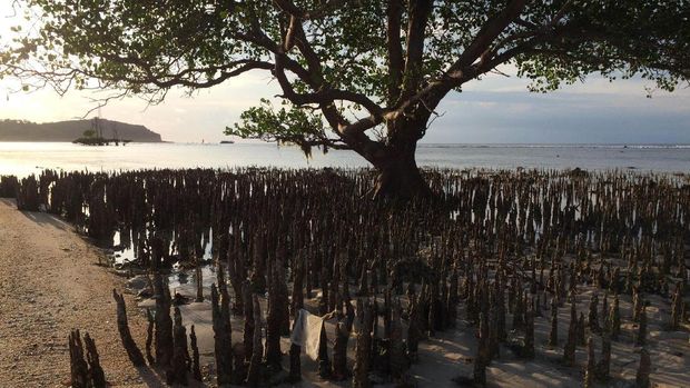  Menikmati senja di pantai ini rasanya syahdu juga (Masaul/detikTravel)
