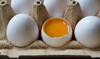 Ini Rahasia Bikin 'Poached Eggs' Mulus dan Enak