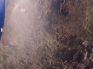Ini Lokasi Ditemukannya Pesawat yang Hilang di Ilaga Papua