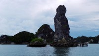 Foto: Batu Pensil merupakan destinasi baru yang ingin diangkat di Kawasan Teluk Kabui Raja Ampat. Untuk mencapai destinasi ini, butuh naik speedboat selama kurang lebih 1 jam dari Waisai, ibukota Raja Ampat (Wahyu/detikTravel)
