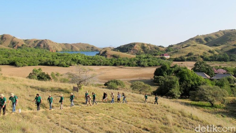 Image result for pulau rinca labuan bajo