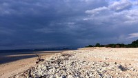 Pantai Bangko Bangko pun masih bersih, tanpa adanya sampah. Paling hanya ranting-ranting pohon dan patahan karang. Serasa pantai pribadi! (Masaul/detikTravel)