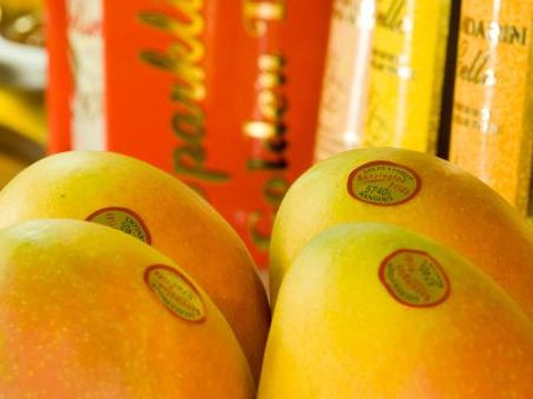 600+ Gambar Buah Buahan Cdr Terbaik 600+ Gambar Buah Buahan Cdr Terbaik