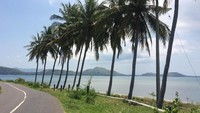 Foto: Deretan pantai sambung menyambung dan hanya dipisah oleh bukit tersaji di Lombok. Jalanan yang dibuat di tepi pantai pun sekilas mirip seperti yang ada di Amerika (Ahmad Masaul Khoiri/detikTravel)