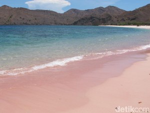 Pantai-pantai Ajaib yang Punya Pasir Berwarna Pink