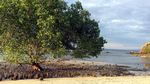 Foto Bangko Bangko, Satu Lagi Pantai Perawan di Lombok Barat