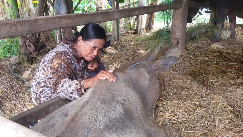 Bom Kerbau Di Bantul Polisi Gambar Sketsa Wajah Pelaku