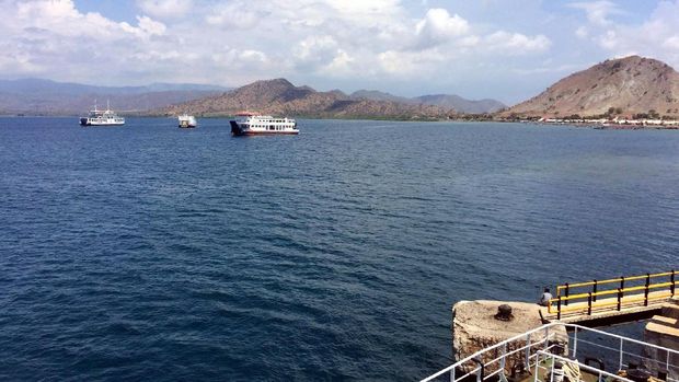 Pemandangan di Pelabuhan Poto Tano (Masaul/detikTravel)