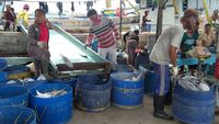 Pelabuhan Muara Baru Dirombak Susi, Bakal Ada Rumah Singgah Hingga RS Nelayan