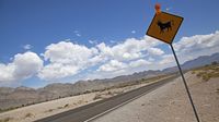 Selamat Datang di Jalan Raya Alien