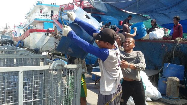 Ini Bedanya Pelabuhan Muara Baru dengan Tsukiji Market di Jepang