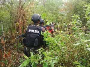 Pasukan Gabungan Bersenjata Cari Ladang Ganja di Aceh