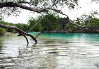 Kecantikan laguna Pulau Rufas yang membuat mata enggan berkedip (Sukma/detikTravel)