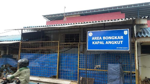 Ini Bedanya Pelabuhan Muara Baru dengan Tsukiji Market di Jepang