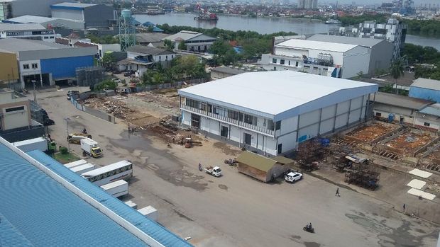 Ini Bedanya Pelabuhan Muara Baru dengan Tsukiji Market di Jepang