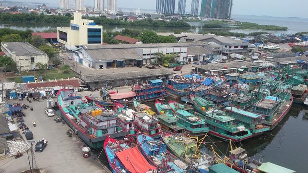 Bakal Mirip Tsukiji Market, Dermaga Barat Muara Baru Mulai Dirombak 2017