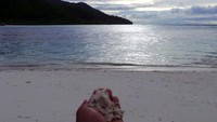 Pasir pantai Mansuar sungguh lembut bak, tepung terigu. Namun tetap perlu kehati-hatian traveler karena ada juga pecahan karang yang terbawa sampai ke bibir pantai (Wahyu/detikTravel)