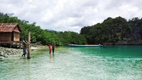 Tampak di seberang jalur masuk, terdapat dua rumah tradisional Raja Ampat yang berdiri persis di pinggir laguna. Sedangkan jika menyeberang terus ke kiri dari jalur masuk, ada sebuah dermaga sederhana dan jalur pendakian bukit karang (Sukma/detikTravel)
