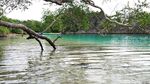 Jangan Bilang Siapa-siapa, Ada Laguna Cantik di Raja Ampat