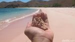 Yakin Tidak Tergoda dengan Pantai Pink Ini?