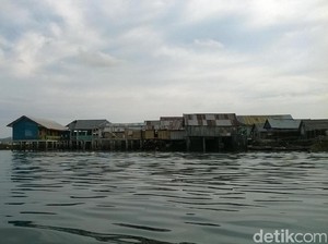 Buka Laut, Ritual Suku Bajo Sebelum Melaut