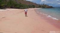 Pantai Namong punya kontur yang landai. Asyik untuk bersantai di sini dan menikmati sampai puas warna pantainya yang pink! (Afif/detikTravel)