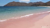 Pantai Namong wajib masuk dalam daftar destinasi tujuan kamu saat liburan ke Pulau Komodo. Yakin tidak tergoda dengan pantai pink ini? (Afif/detikTravel)