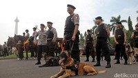 Anjing pelacak juga dikerahkan.