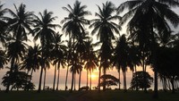 Foto: Bagi para penikmat senja, Lombok di NTB menawarkan keindahan tenggelamnya matahari di sejumlah tempat. Selain di Gili Trawangan, beberapa lokasi lainnya patut dikunjungi ketika berlibur (Ahmad Masaul Khoiri/detikTravel)