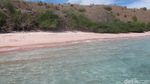 Yakin Tidak Tergoda dengan Pantai Pink Ini?