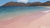 Pantai Namong merupakan pantai pink di bagian selatan Pulau Komodo, NTT. Sebenarnya sudah ada Pink Beach, pantai pink lainnya di sisi timur pulaunya. Hanya saja, Pantai Namong ini belum banyak didatangi wisatawan (Afif/detikTravel)