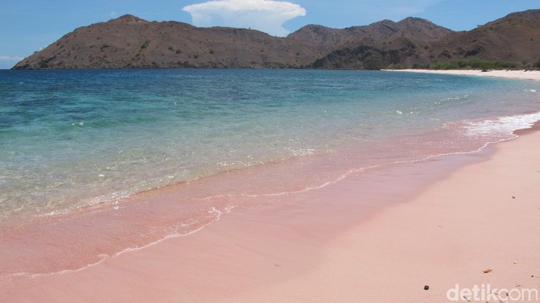 Pantai Namong yang pasirnya berwarna pink di Pulau Komodo (Afif/detikTravel) Pantai Namong yang pasirnya berwarna pink di Pulau Komodo (Afif/detikTravel)