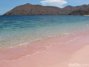 Wajar Pulau Komodo Diberitakan Media Internasional