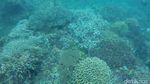 Bangsring: Keajaiban Alam Bawah Laut Banyuwangi