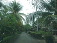 Hany Koesumawardani/detikcom