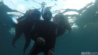 Di sini, traveler bisa snorkeling hanya dengan Rp 30 ribu untuk menyewa alat dan life jacket. Jika Traveler merasa perlu dan ingin menikmati Bangsring underwater, traveler bisa menyewa jasa seorang guide dengan harga yang sama. Traveler akan diajak mengelilingi titik konservasi dan melihat langsung cantiknya terumbu karang yang dirawat (Kartika/detikTravel)