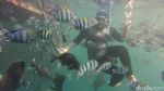 Bangsring: Keajaiban Alam Bawah Laut Banyuwangi