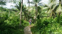 Sesampainya di titik yang dituju kita diharuskan berjalan menyusuri hutan menuju titik start yang berada di bagian lembah (Tri/detikTravel)