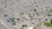 Pulau Padar tidak dihuni oleh penduduk, hanya pulau kosong yang didominasi oleh savana. Kabarnya, ada sekitar 3-5 komodo yang hidup di sana namun tidak tinggal di sekitar jalur trekking yang biasa dilalui traveler (Afif/detikTravel)