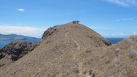 Ketinggian Pulau Padar mungkin mencapai 1.000 mdpl lebih. Baiknya siapkan minuman yang cukup agar melepas dahaga saat mendakinya (Afif/detikTravel)
