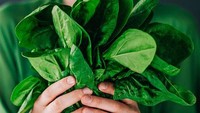 Bayam sarat dengan vitamin E juga  beta karoten, folat dan vitamin C dan K dan zat besi. Nutrisi ini penting bagi sistem kekebalan tubuh yang sehat. Foto: Getty Images