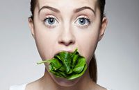 Peneliti Ciptakan Tanaman Bayam yang Bisa Deteksi Bom dalam Tanah