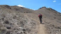 Setelah tangga kayu, jalur trekkingnya adalah tanah dan bebatuan dengan medan yang menanjak. Teruslah mendaki sampai ke puncaknya! (Afif/detikTravel)