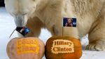 Seekor Harimau di Siberia Prediksi Calon Presiden AS