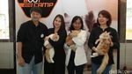 Intip Keseruan Bermain Sambil Melatih Ketangkasan Anjing