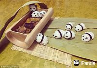 Pencinta Makanan Asia Berlomba Bikin Makanan Bentuk Panda yang Menggemaskan