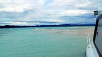 Pasir Timbul Pulau Mansuar adalah destinasi baru yang tengah naik daun di kalangan wisatawan yang liburan ke Raja Ampat. Untuk menuju ke sini, wisatawan bisa naik speedboat selama 1 jam dari Waisai, ibukota Raja Ampat (Wahyu/detikTravel)