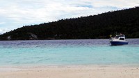 Banyak guide yang sudah mengetahui destinasi ini, sudah banyak juga paket wisata yang menyertakan Pasir Timbul Pulau Mansuar sebagai destinasi yang akan ditujunya. Jadi tidak usah heran bila ada banyak kapal yang akan merapat (Wahyu/detikTravel)